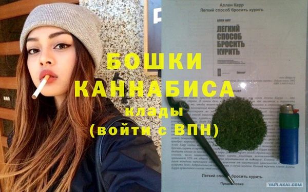 индика Алзамай