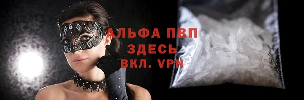 молекула духа Заволжье