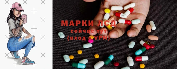 индика Алзамай