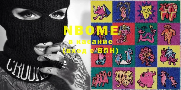 индика Алзамай