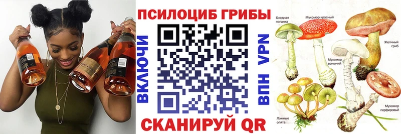 Псилоцибиновые грибы Magic Shrooms  Гуково 